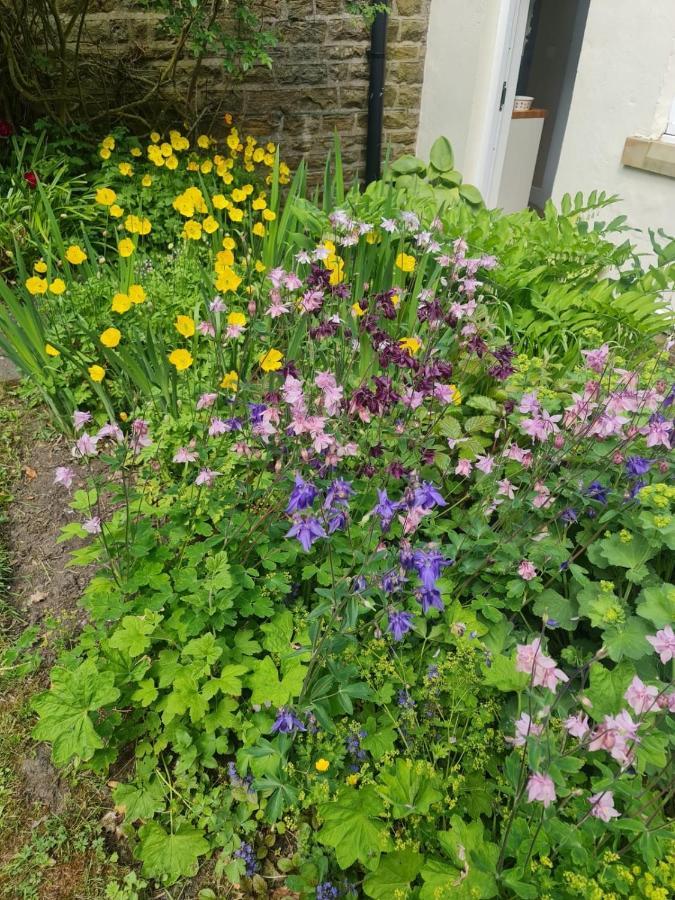 Mayfield Cottage Burtree Ford 外观 照片