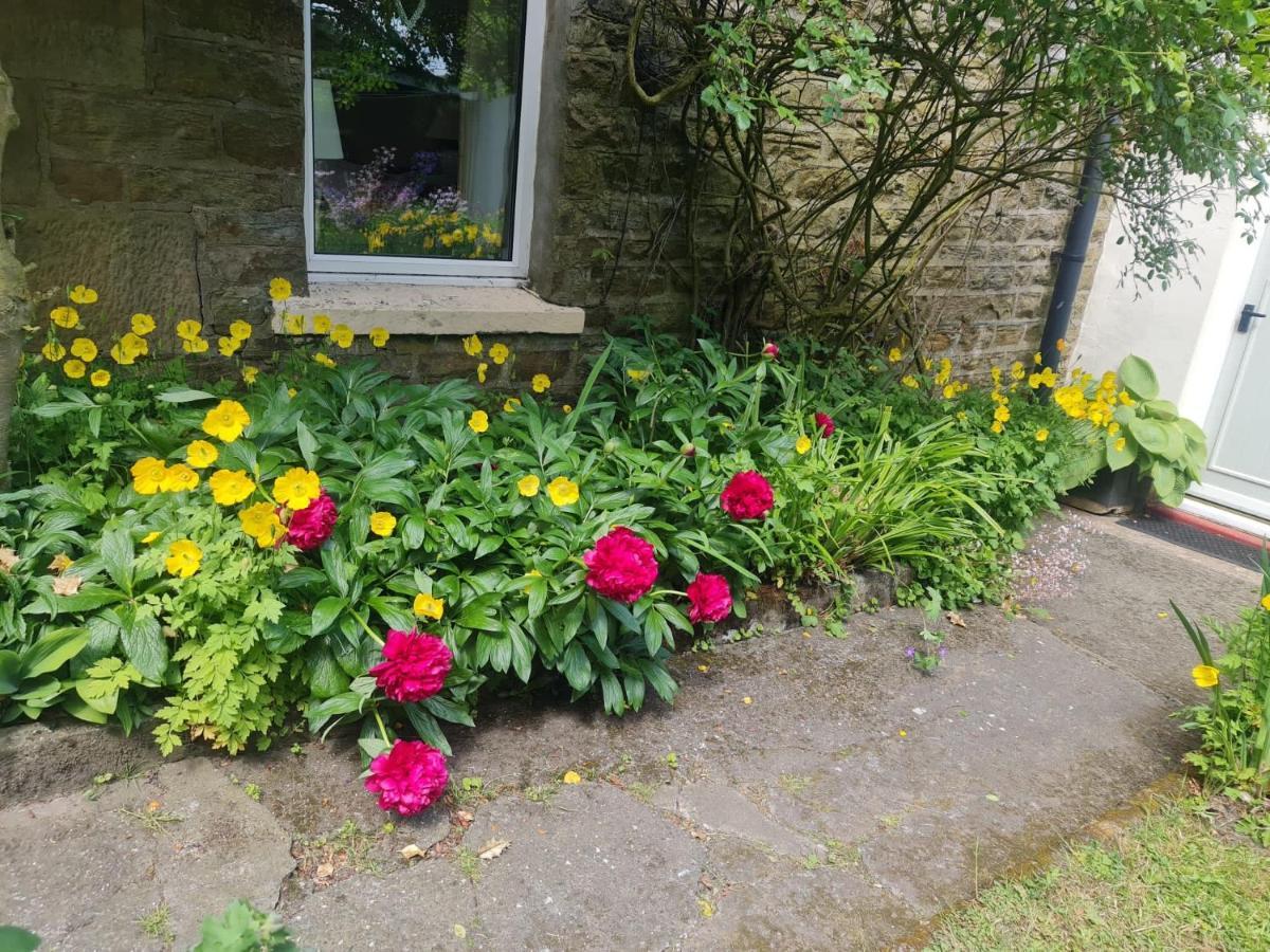 Mayfield Cottage Burtree Ford 外观 照片