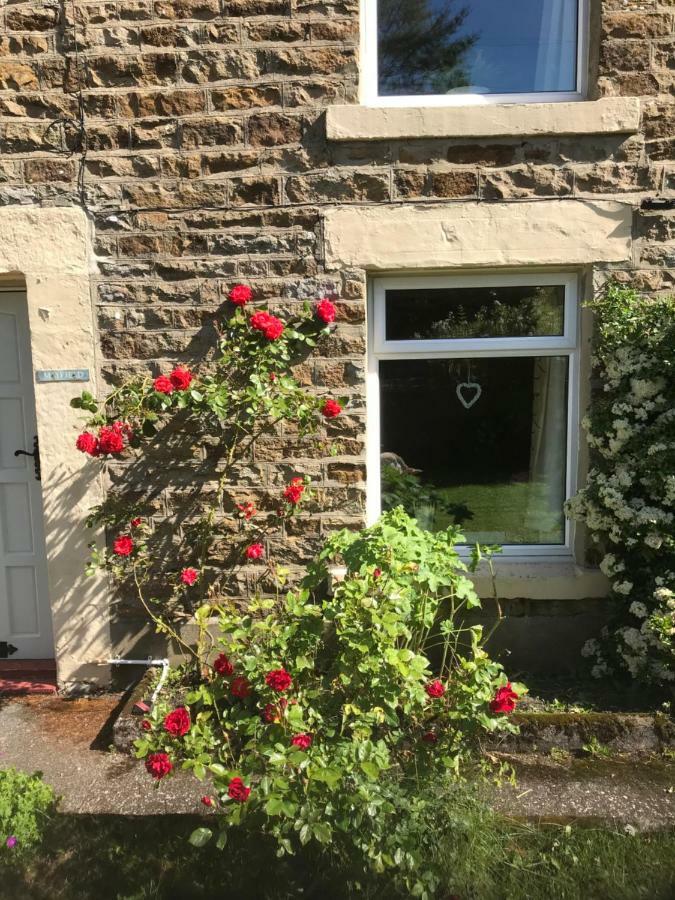 Mayfield Cottage Burtree Ford 外观 照片